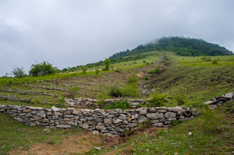 Hillside Erosion Control