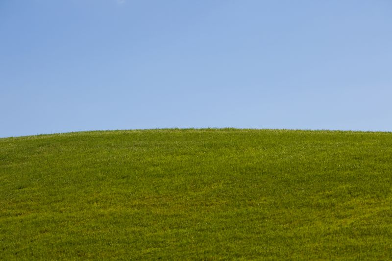 Warranty & Quality Checks