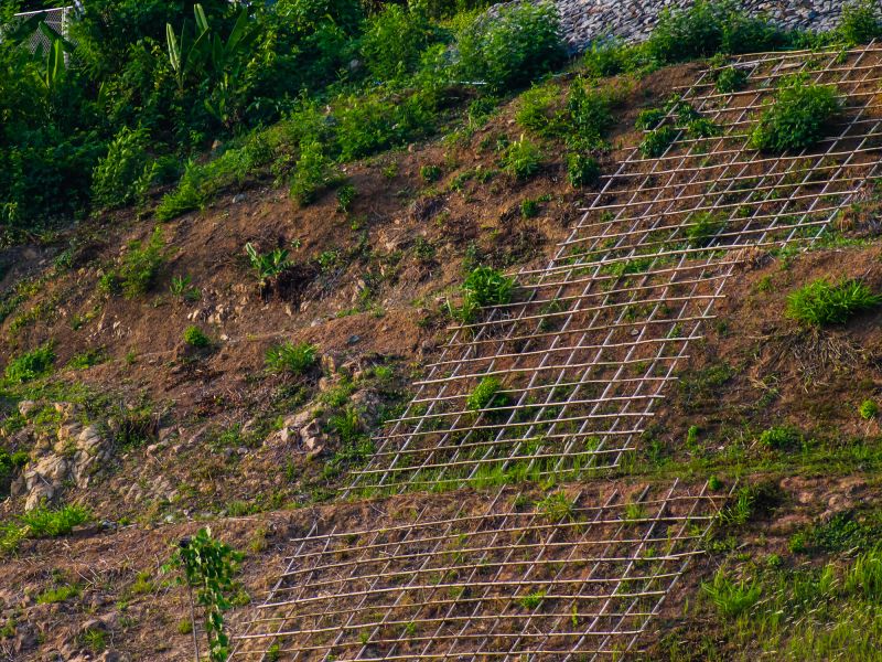 Erosion Control in Action