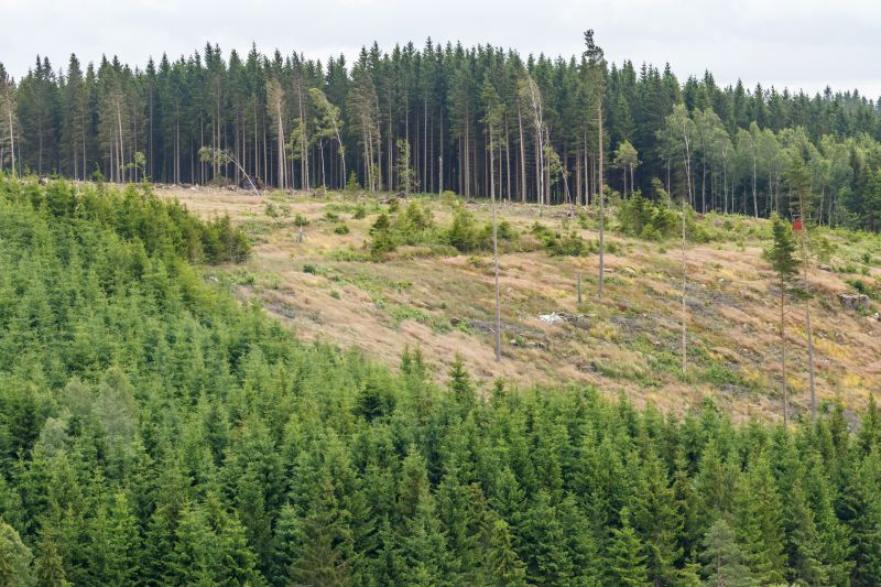 Space-Smart Ideas — Quick Tip