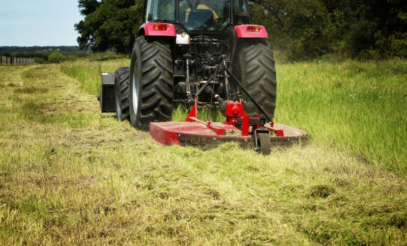 Pasture Clearing in Houston, TX