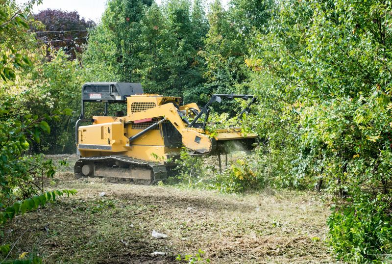 Slope Clearing in Marietta, GA