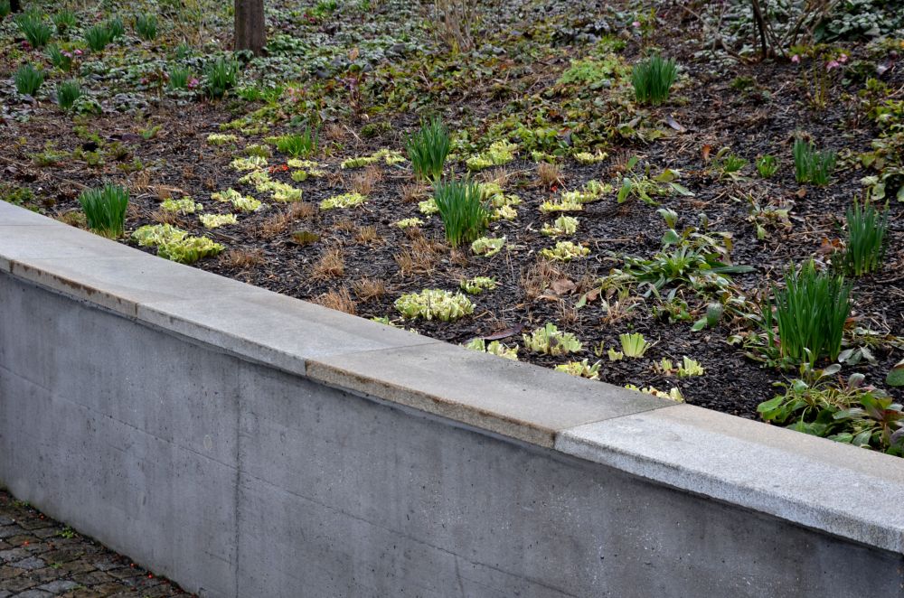 Hillside Erosion Prevention